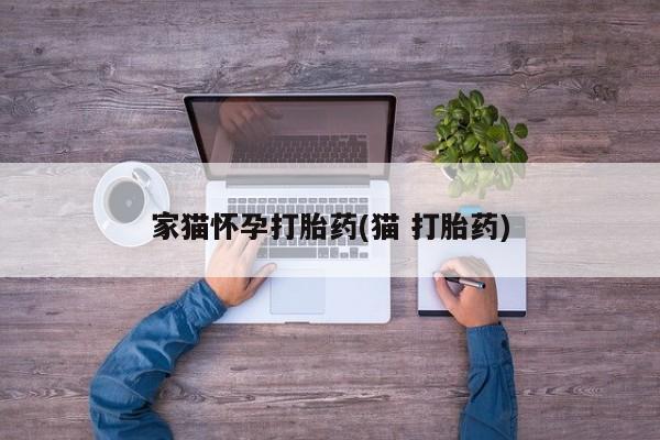 米非米索联系微信家猫怀孕打胎药(猫 打胎药)